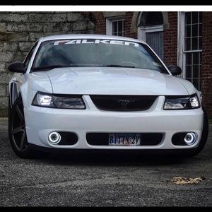 Meet your Posher, Raul